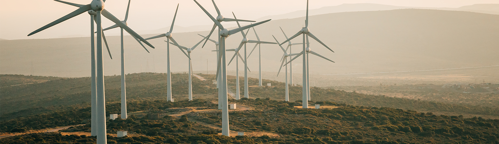 Mehrere weisse Windkraftanlagen in grüner Landschaft. 